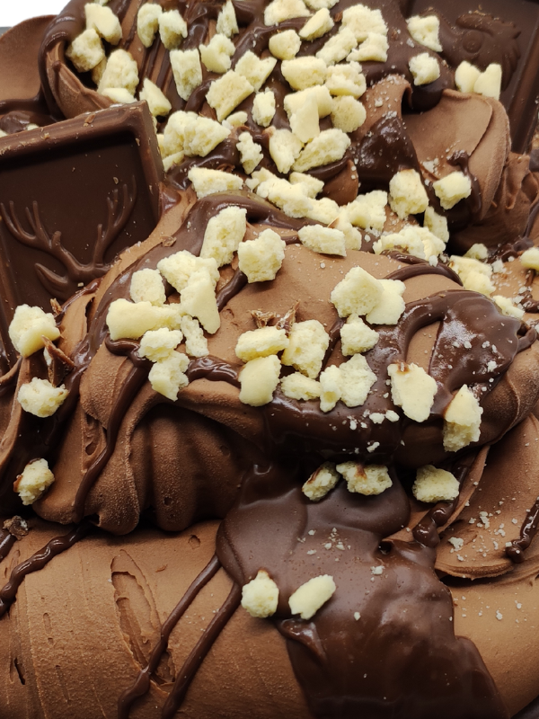 Detalle del helado de chocolate jungly artesano
